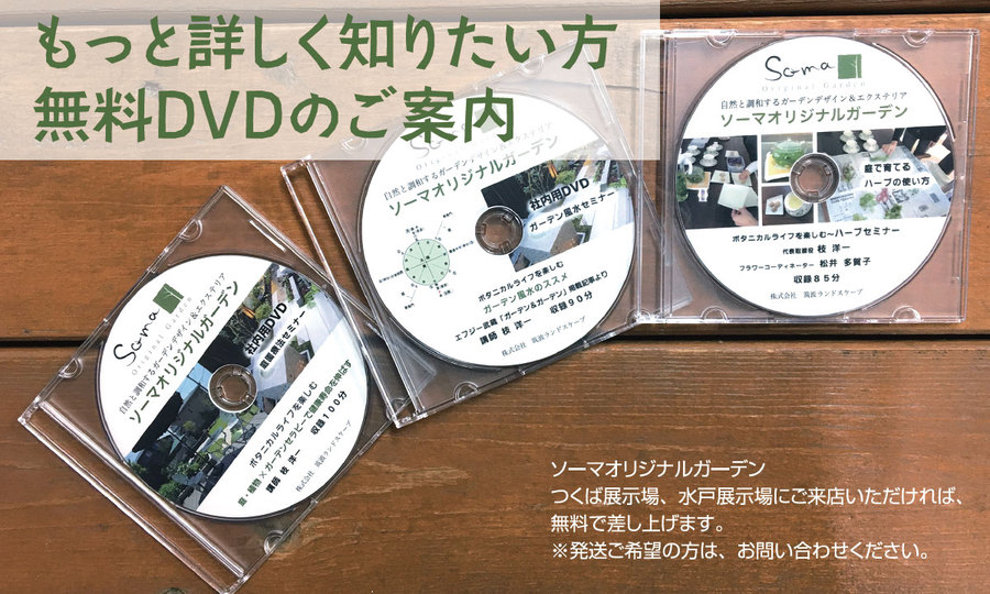 DVDē