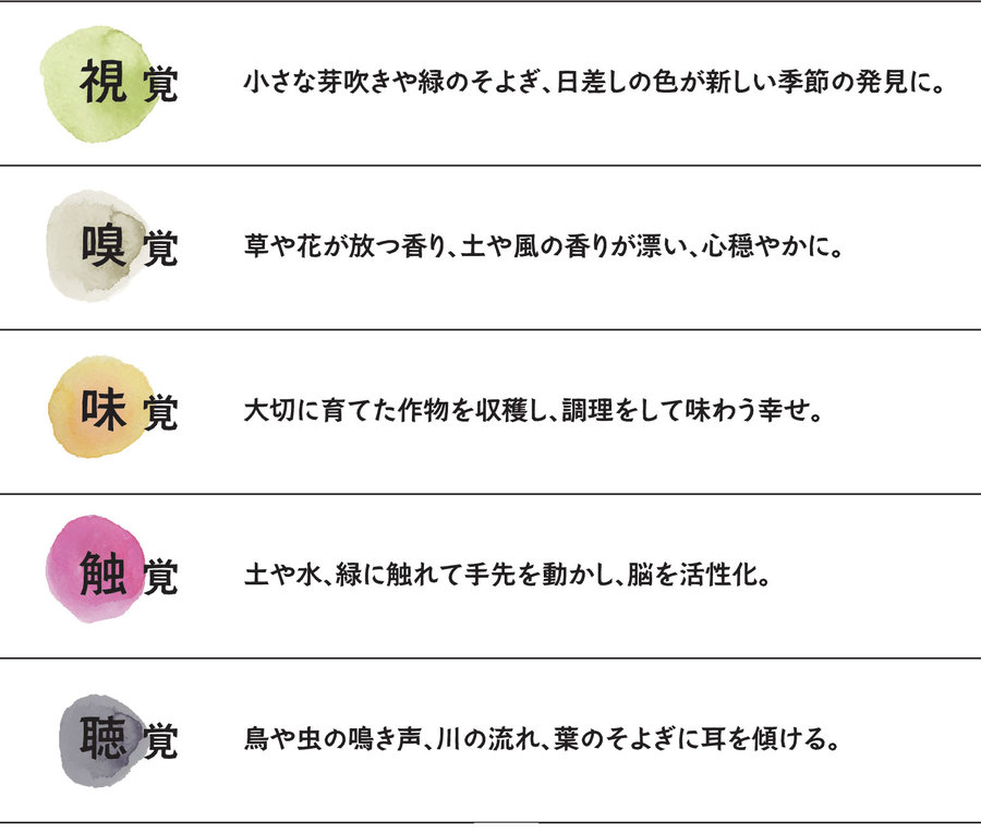 ibaraki ibaraki
