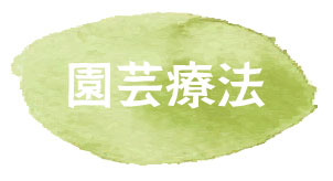 園芸療法 園芸療法