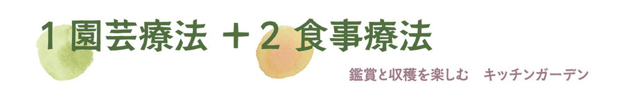 園芸療法と食事療法 園芸療法と食事療法