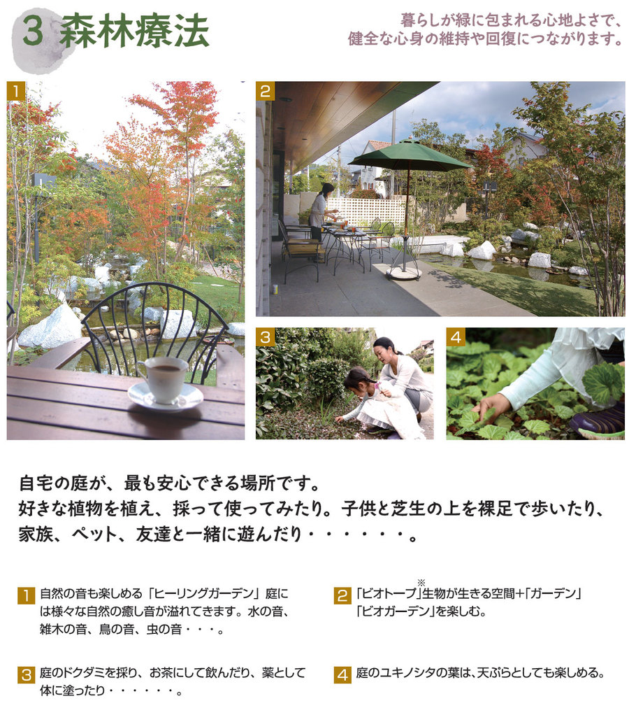 森林療法 森林療法