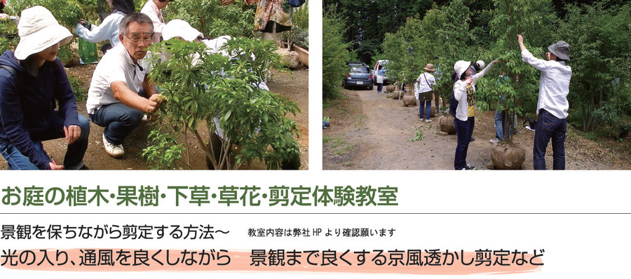 選定教室 選定教室