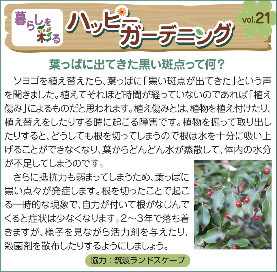ハッピー ハッピー