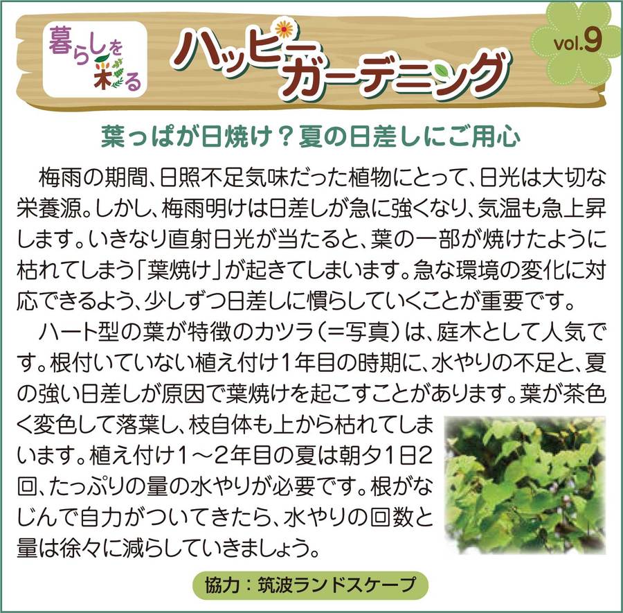 支柱 支柱