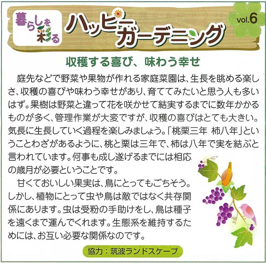 茨城つくば水戸外構庭門塀 茨城つくば水戸外構庭門塀