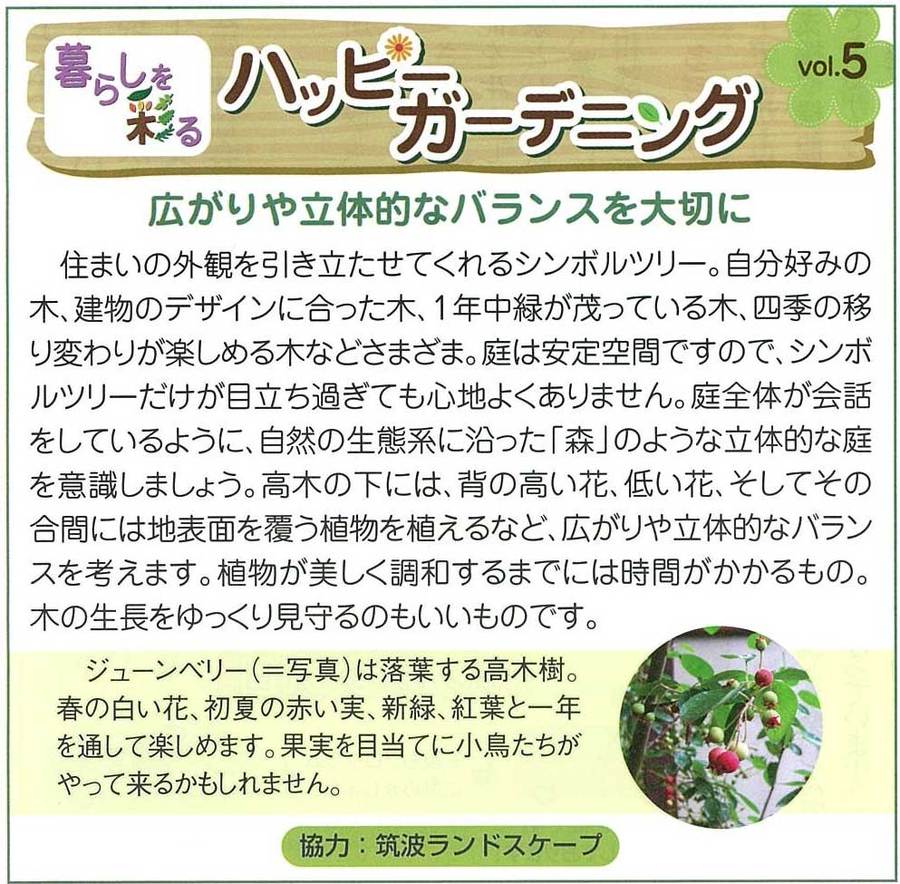 ひたちのうしく牛久守谷ガーデン外構 ひたちのうしく牛久守谷ガーデン外構