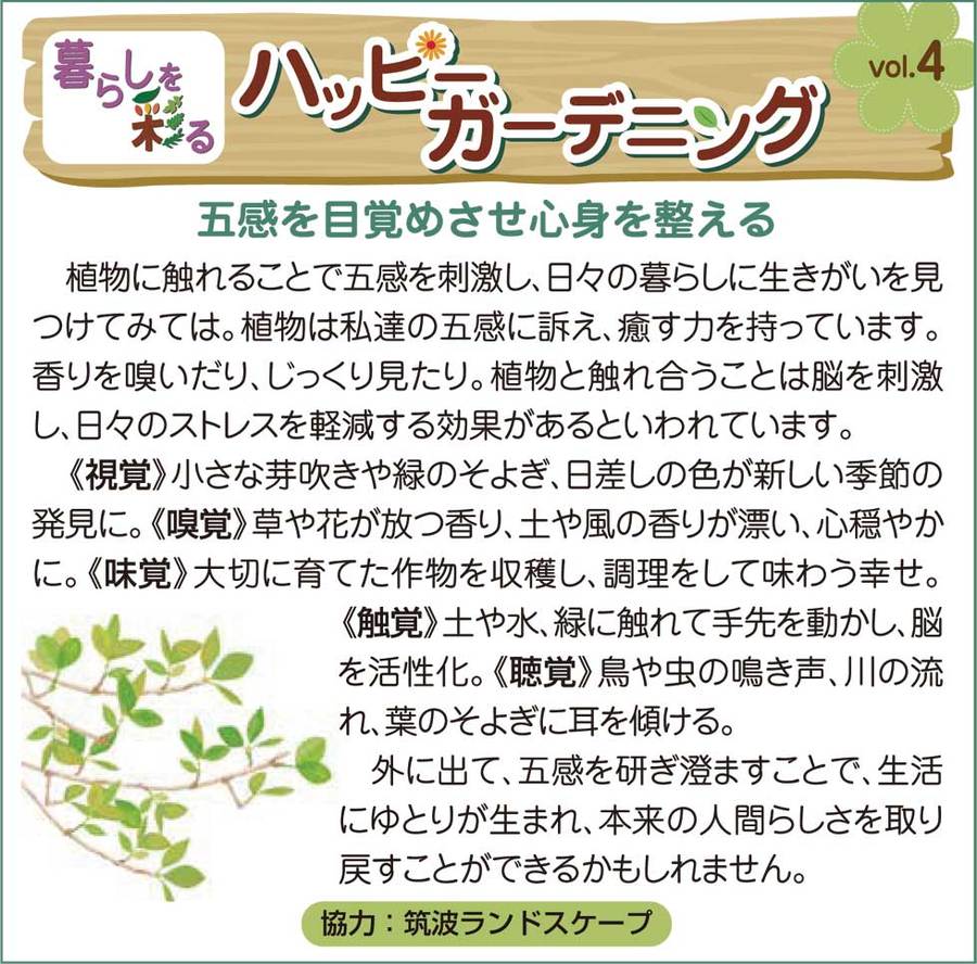 水戸那珂常陸那珂常陸大宮ガーデン外構 水戸那珂常陸那珂常陸大宮ガーデン外構